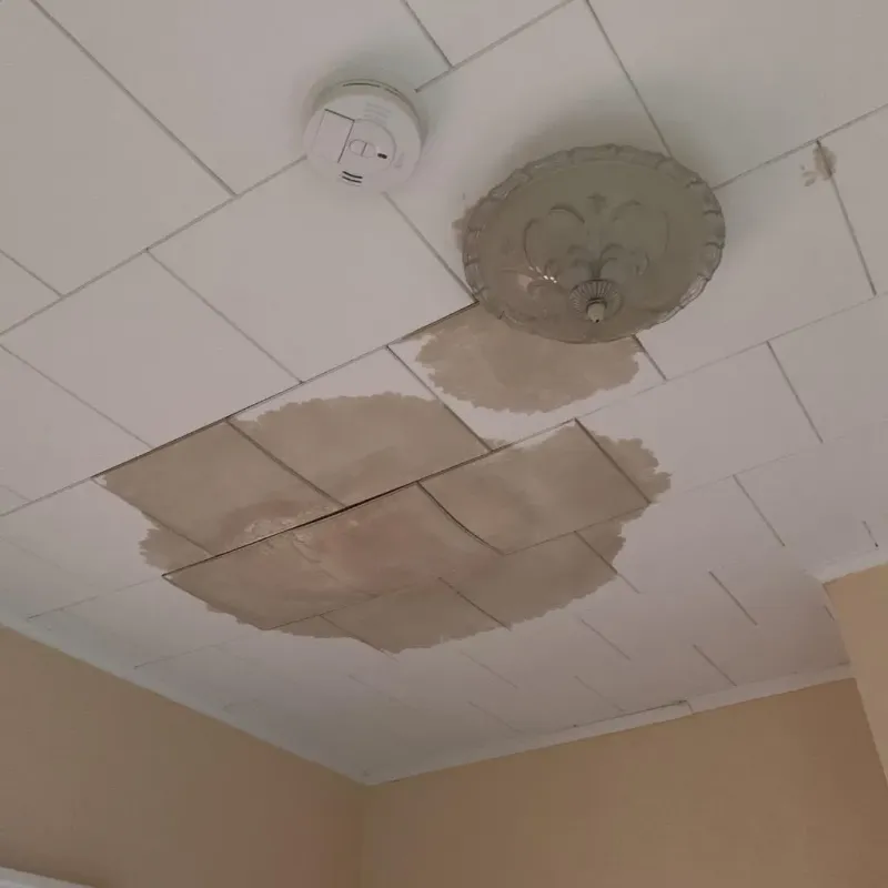 Ceiling Water Damage Repair in Balsam Lake, WI