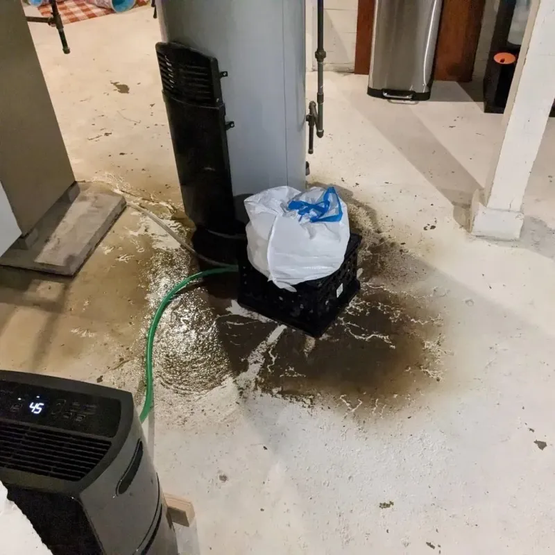 Sewage Backup Cleanup Service in Balsam Lake, WI